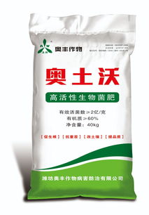 冬天大棚西紅柿這樣管理,高產不愁