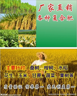 化肥名片設計圖__名片卡片_廣告設計_設計圖庫