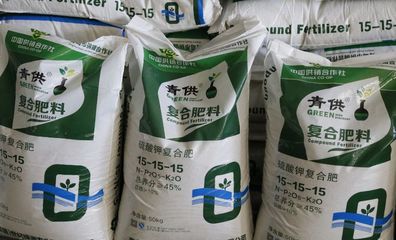 青島市供銷社:推廣托管服務,50萬畝土地由"保姆"來管