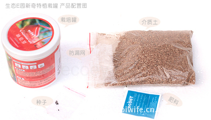 創意禮品 新奇特植栽罐的魅力與市場前景