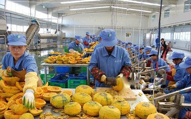 家庭小型有機肥料加工 環保創收新途徑